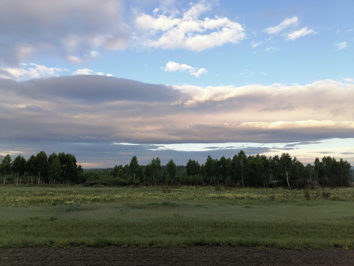 Луга, перелески.