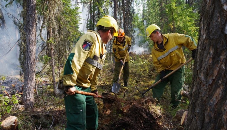 Фото: из открытых источников