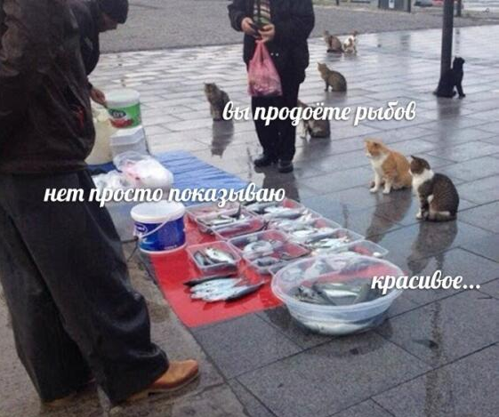 Да, примерно вот так - можно только посмотреть на свои бумаги