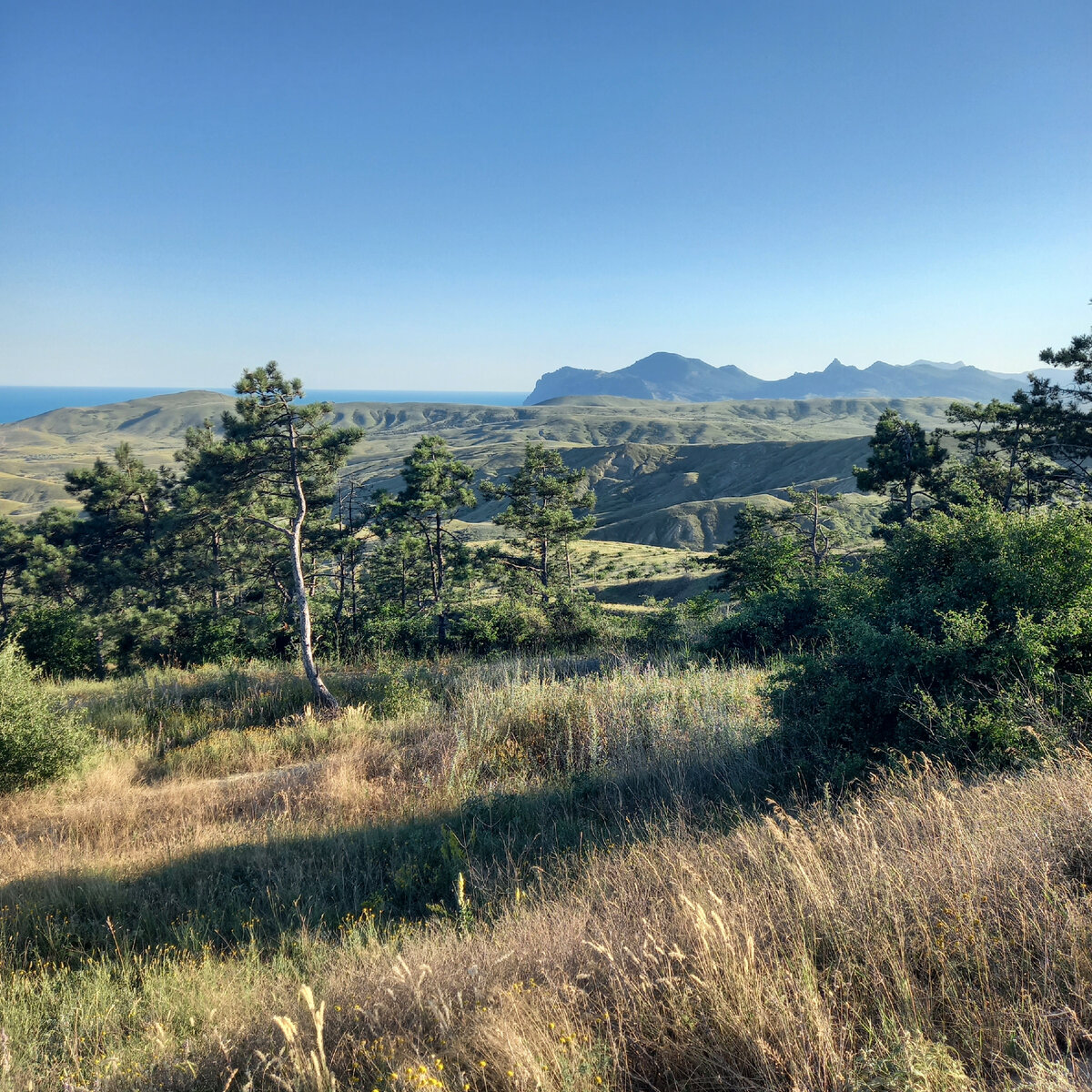 Вид с горы Тепе-Оба на Коктебель и Орджо