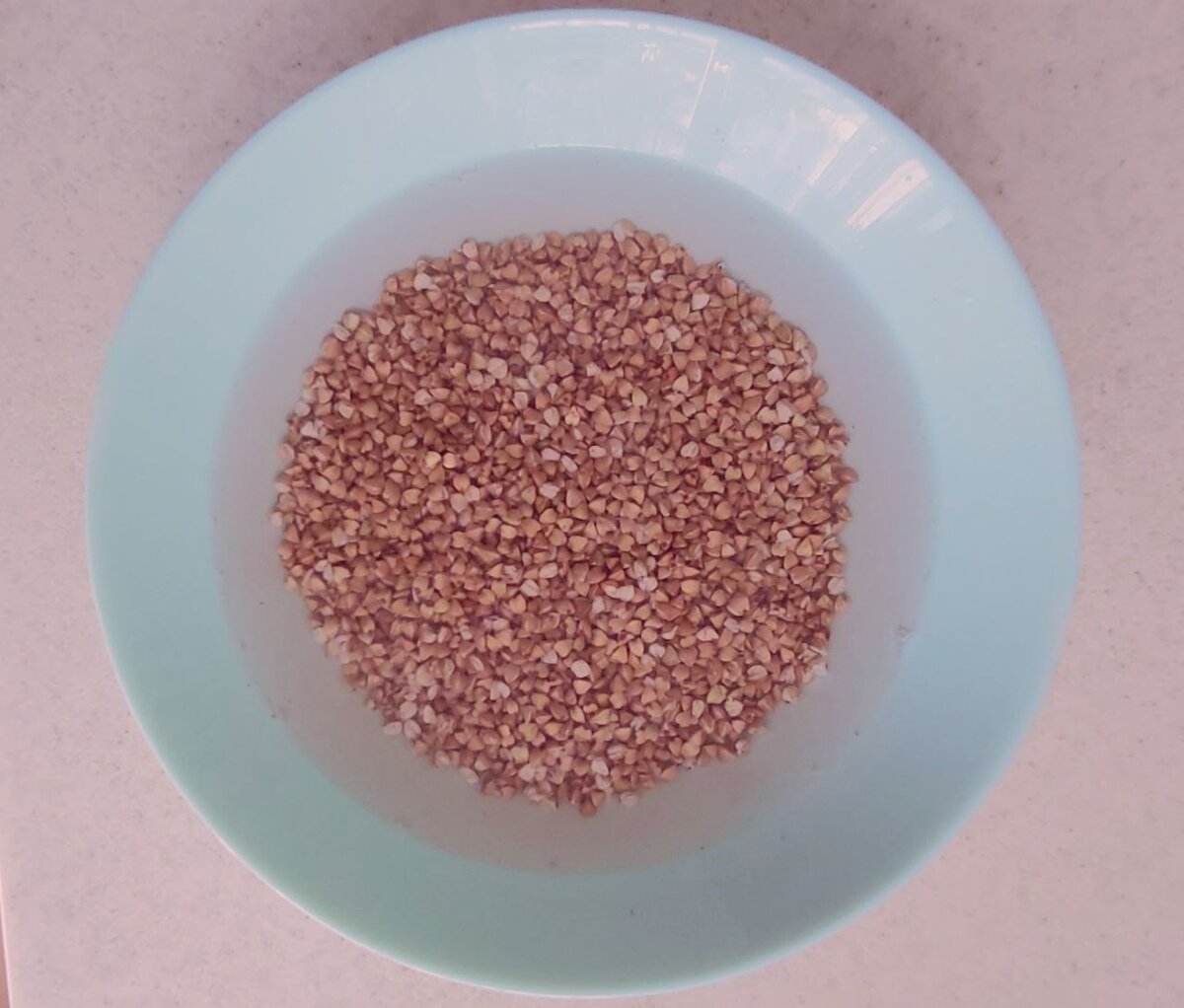 Зеленая гречка, замоченная в воде