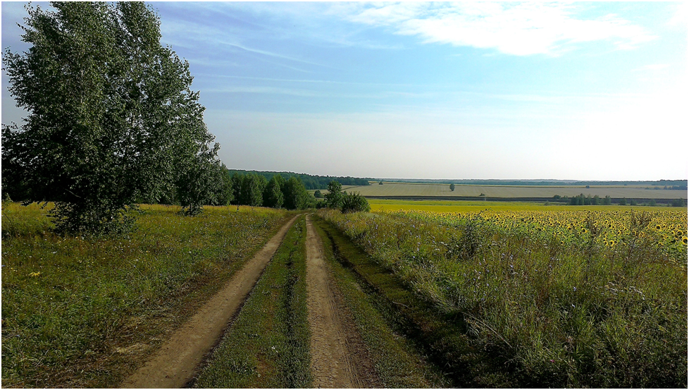 Пензенская область лопатинский. Деревня Ларино Луховицкий район. Дер Шункино Пензенской области. Александр Гречихо Петровск. Администрация деревня Ларино Александровского района.