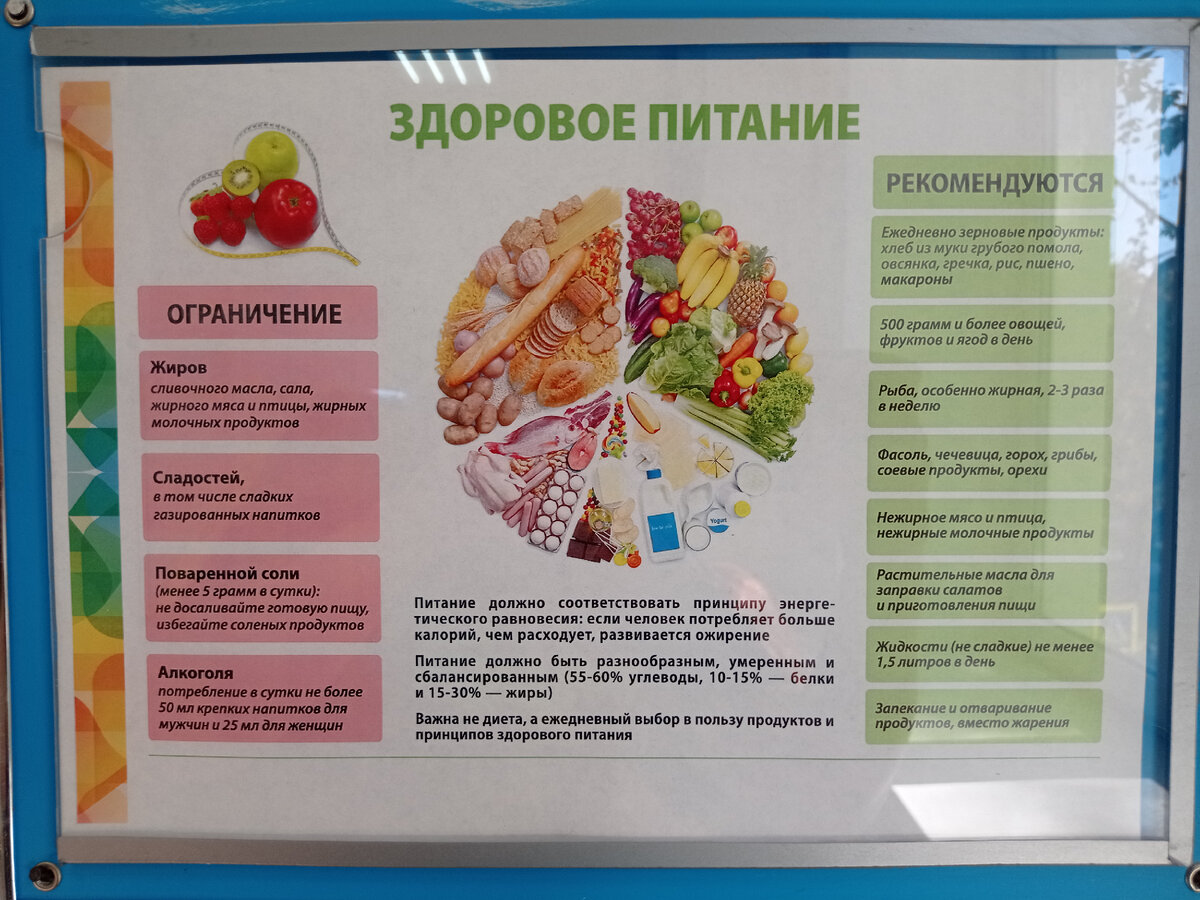 Вот в нашей детской поликлинике, например. Можно спорить про соотношение БЖУ, но в целом - более чем реалистично. 