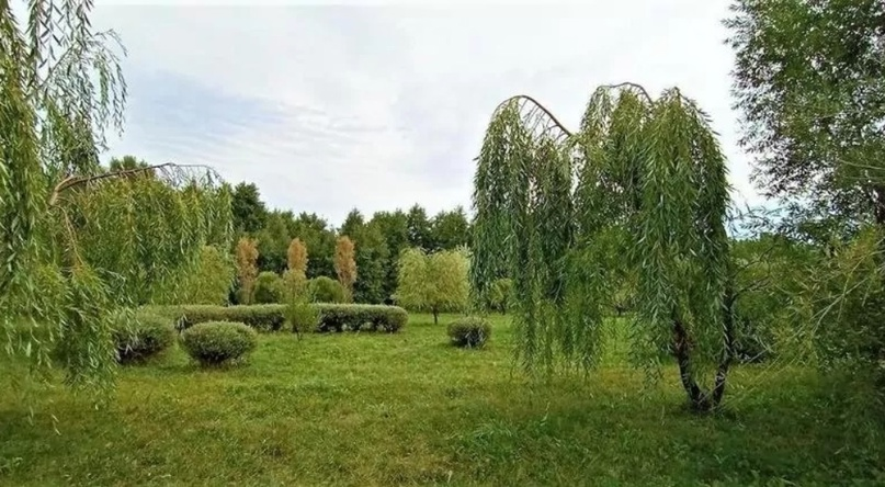 Фото: Лора Никитина 