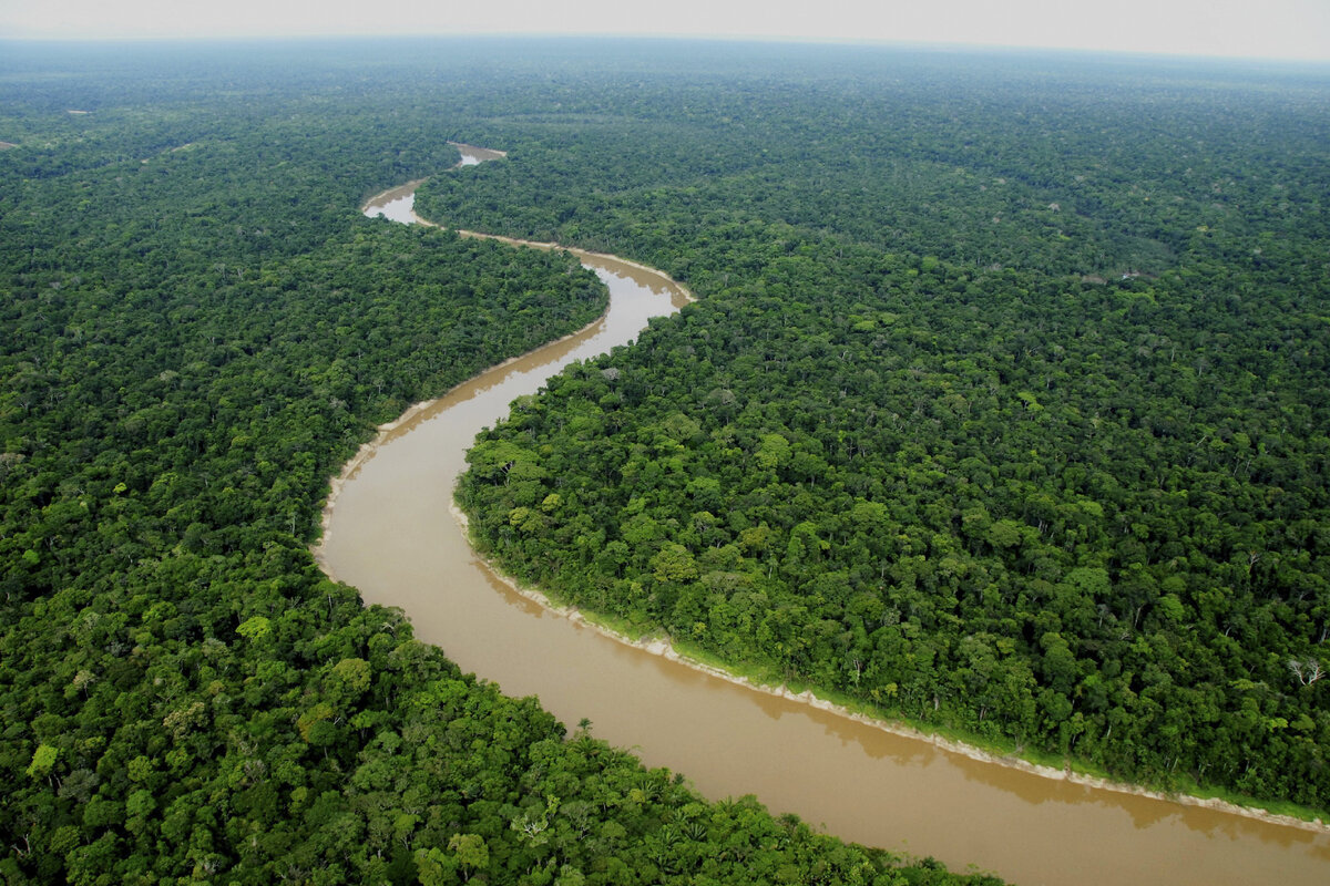 В исторической науке считалось что на Амазонке не было древних цивилизаций