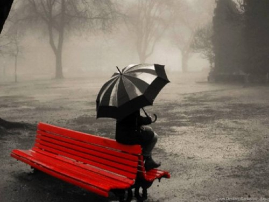 яндекс.картинки