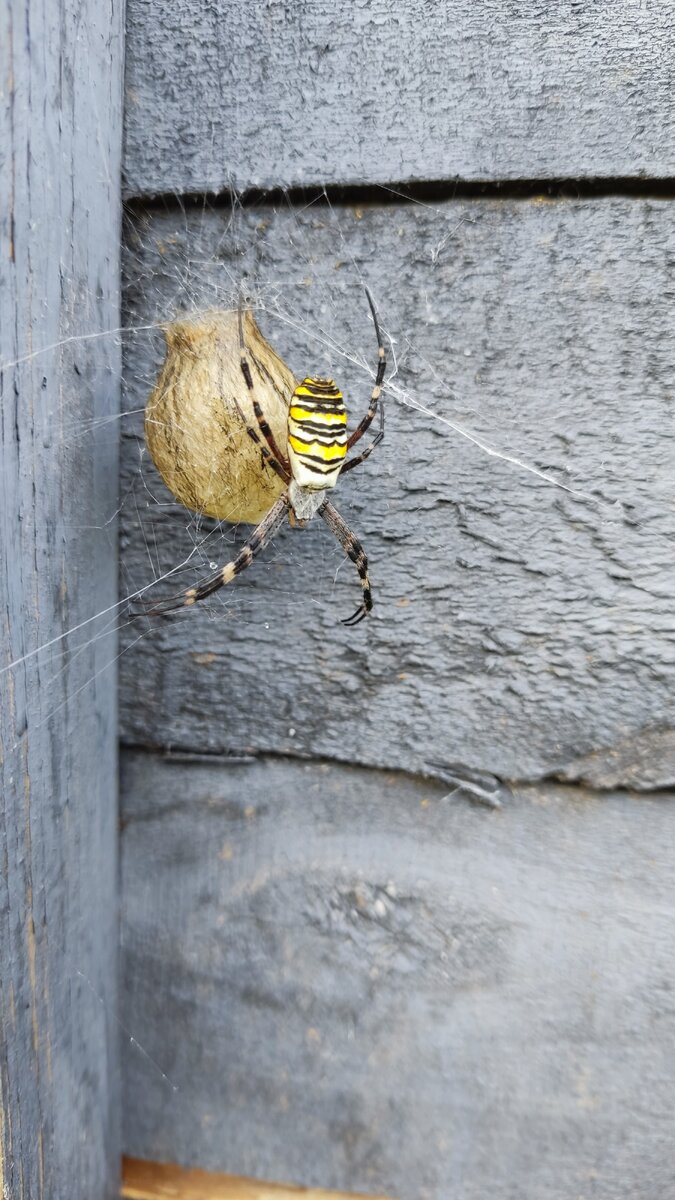 Снимок этого года 