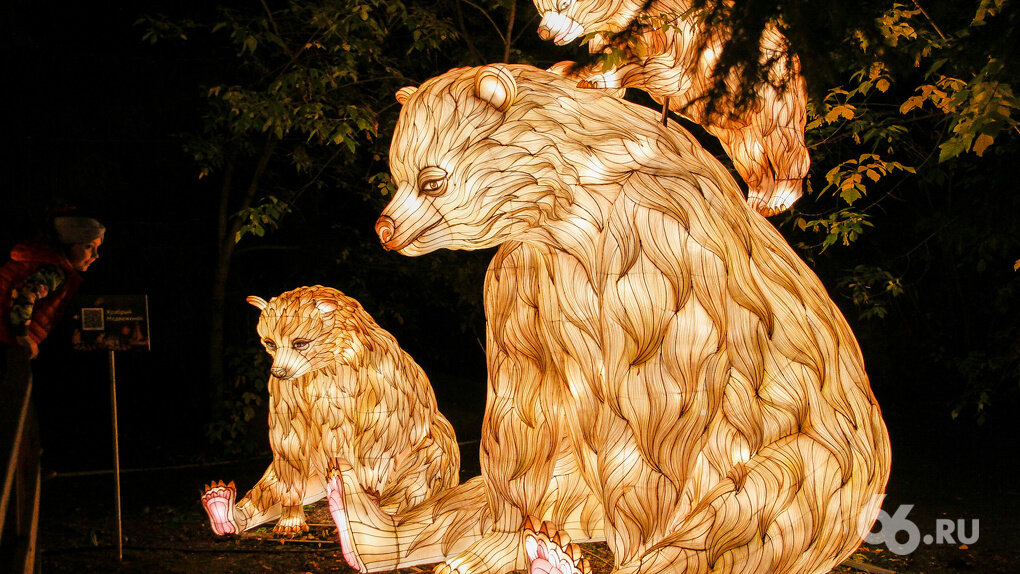 Фото: Сергей Логинов для 66.RU