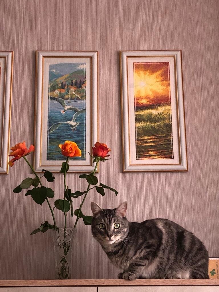 Фото моих друзей