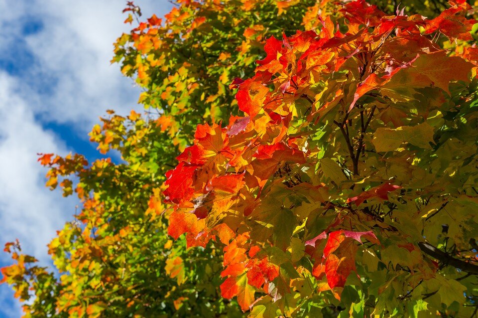     На выходных в отдельных территориях будет достаточно тепло Олег ЗОЛОТО