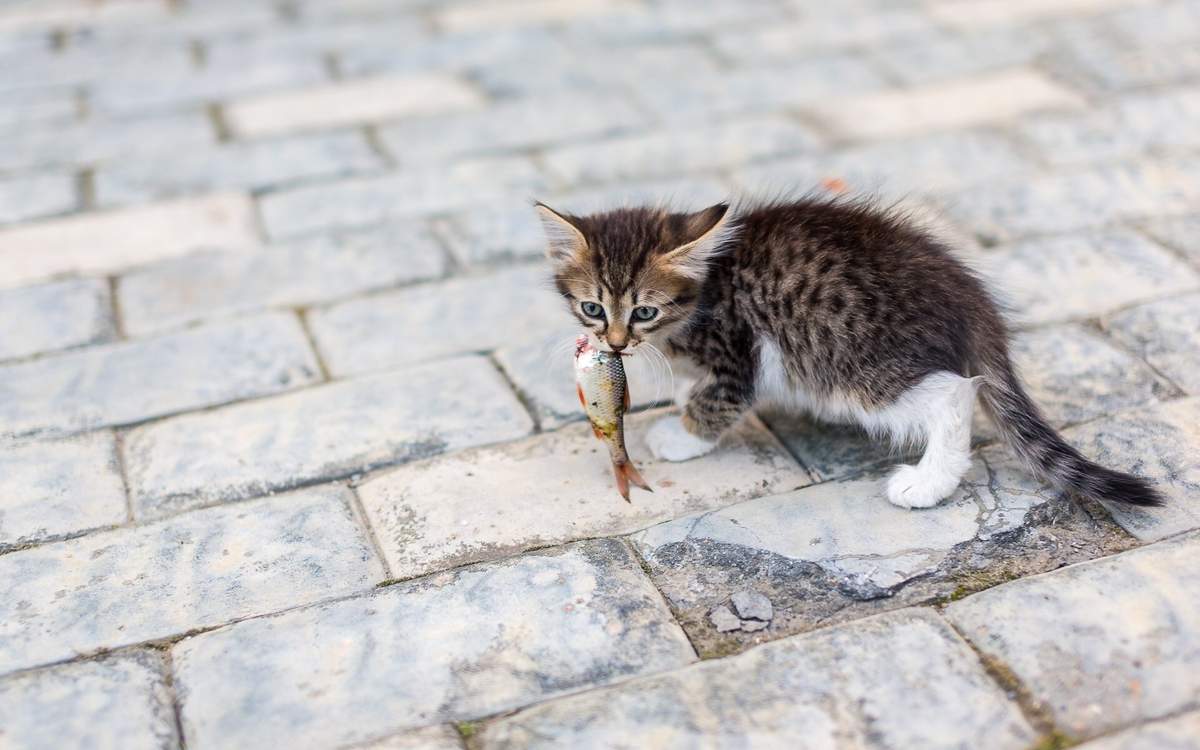 Фото из открытых источников Интернета