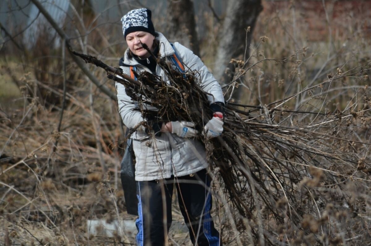    15 октября в Новосибирске пройдет общегородской субботник