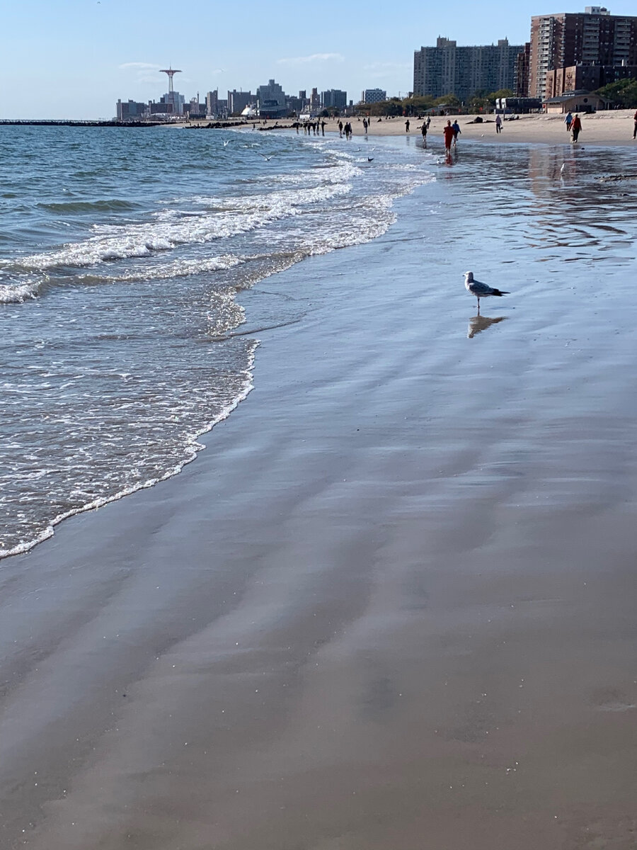 Моржа увидите на другой фотографии…. Смотрите внимательно! А тут вдали развлекательный комплекс Кони-Айленд. 