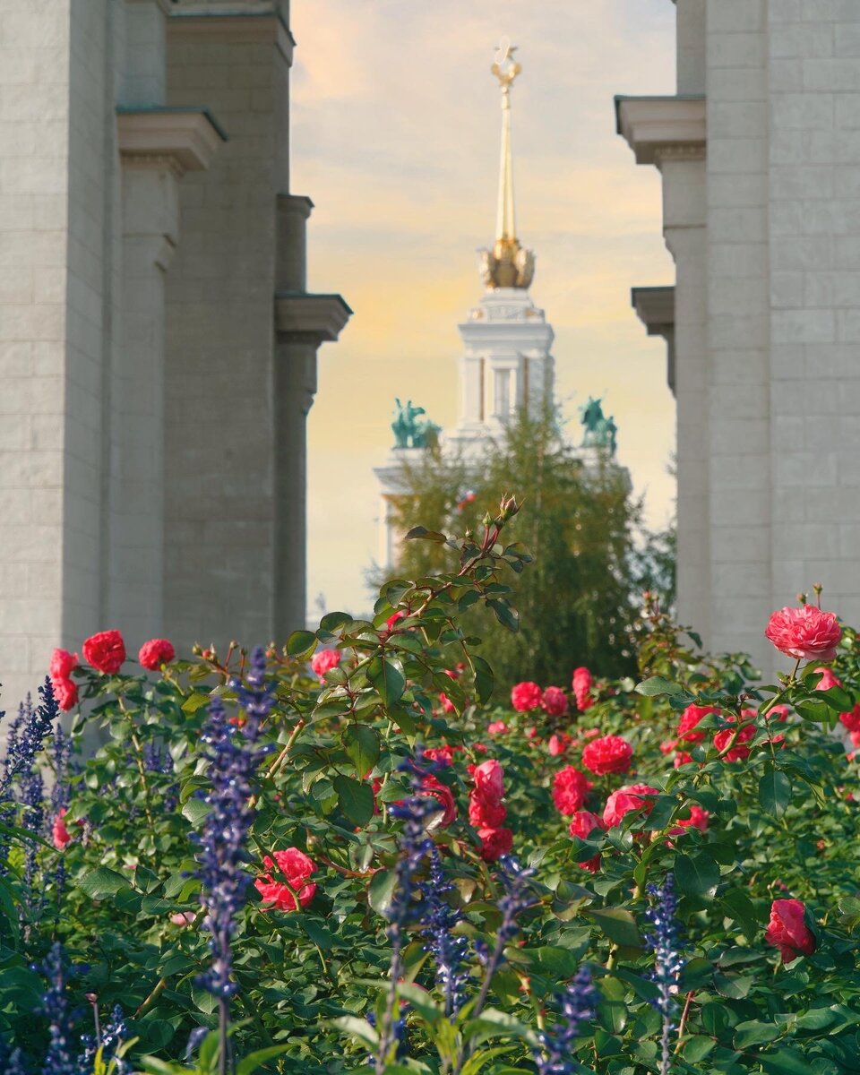 Вход в парк