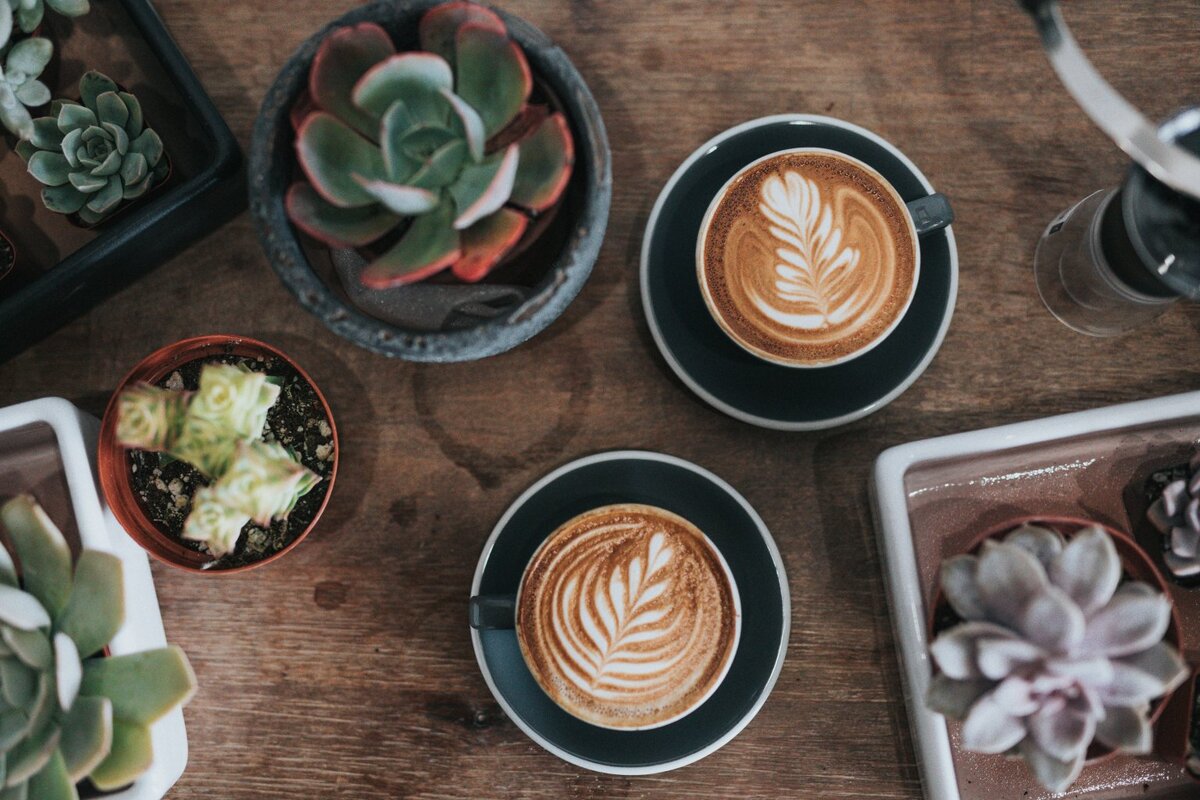    unsplash