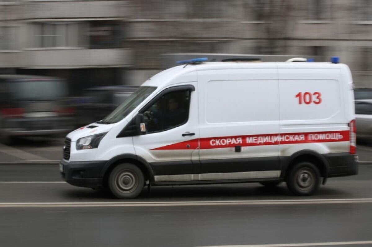    МО РФ: на полигоне в Белгородской области произошел теракт