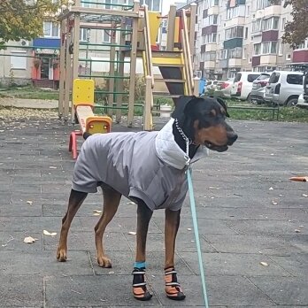 Всё-таки здорово, когда есть возможность строить, кроить и шить 👍