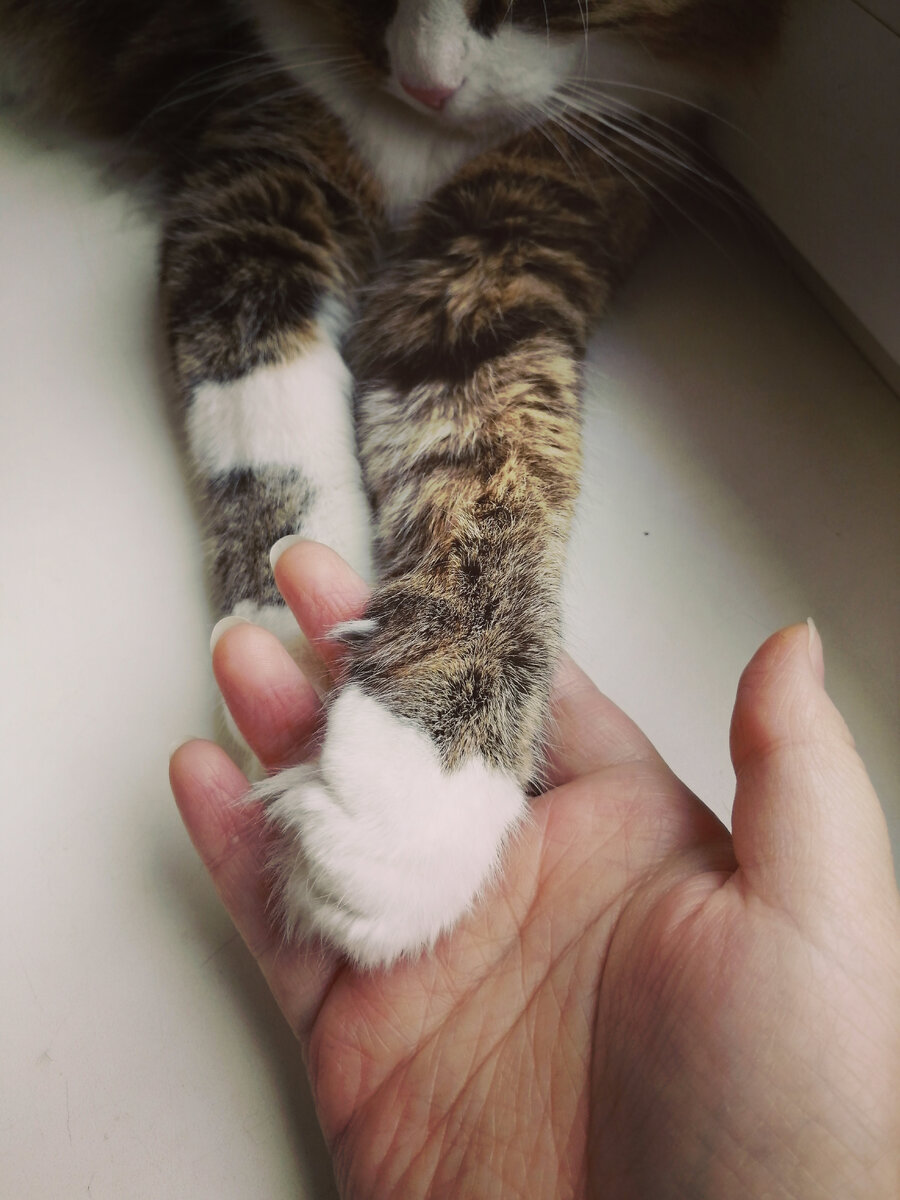 🐾♥️🐾#подписчики  