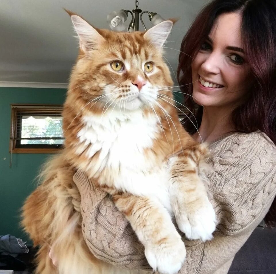 Улыбчивая хозяйка часто постит фото со своим любимцем