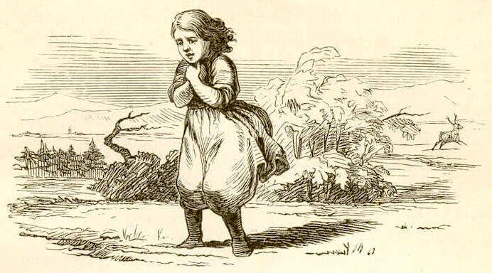 Такой увидел Герду первый иллюстратор сказок Андерсена - Томас Вильгельм Педерсен. Фото взято из открытых источников в сети Интернет.