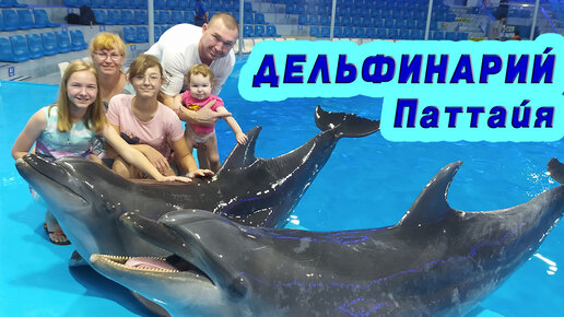 Pattaya Dolphin World and Resort Дельфинарий Серия 4