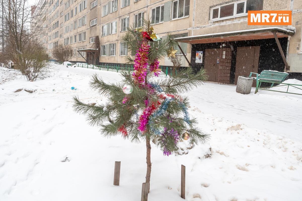 Фото: Олег Золото / MR7