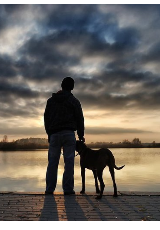 Собака друг человека, Взято с phosting.ru