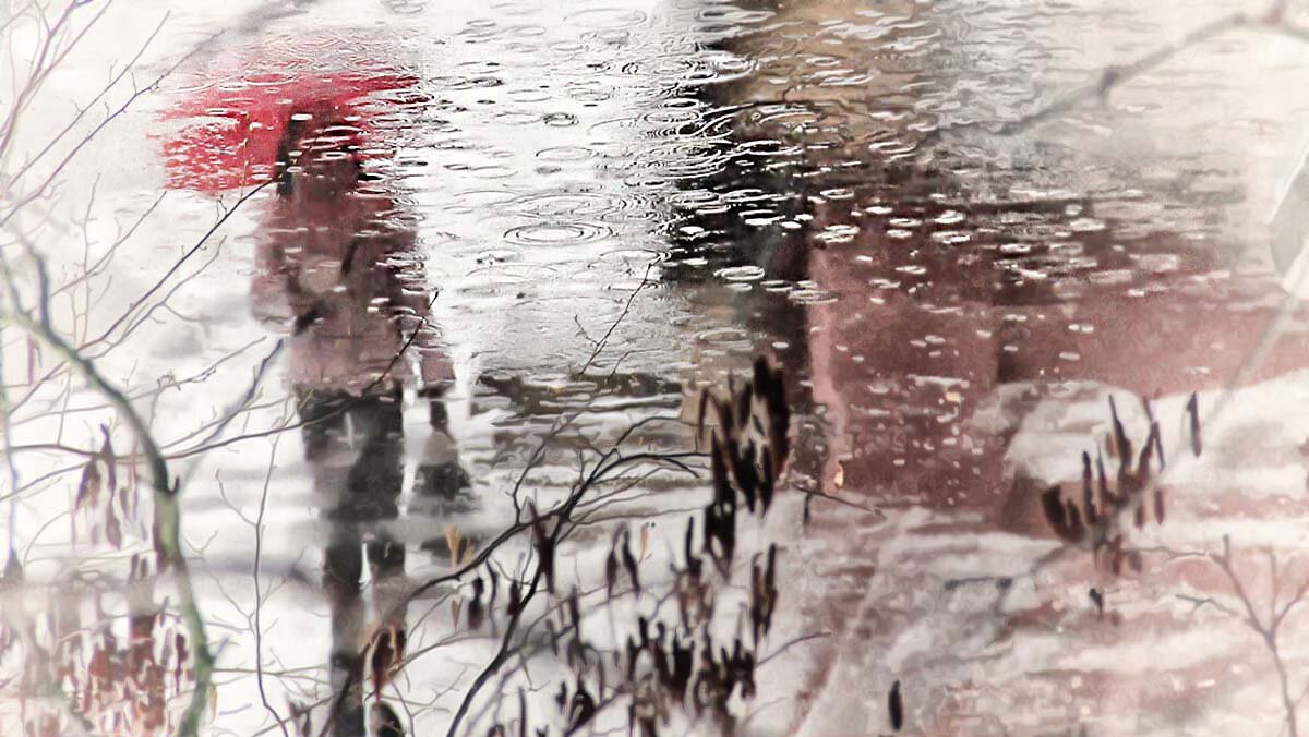 фото из интернета