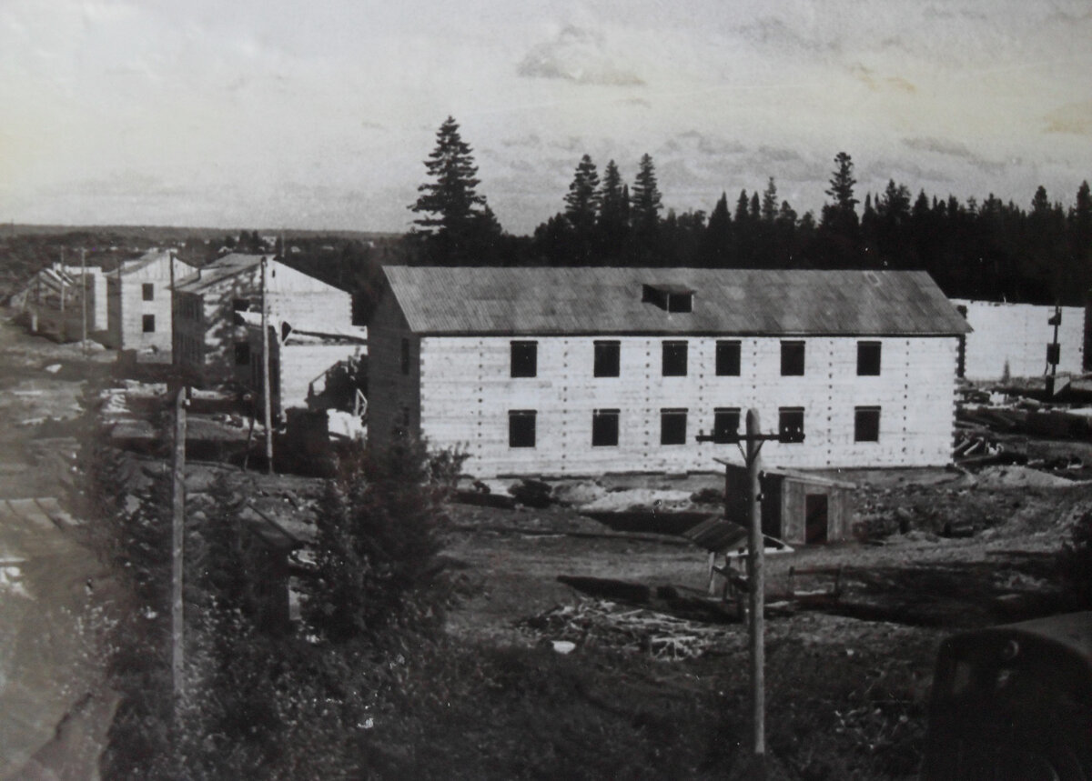 Вот такие дома мы строили. 1970-е. Из архива автора.