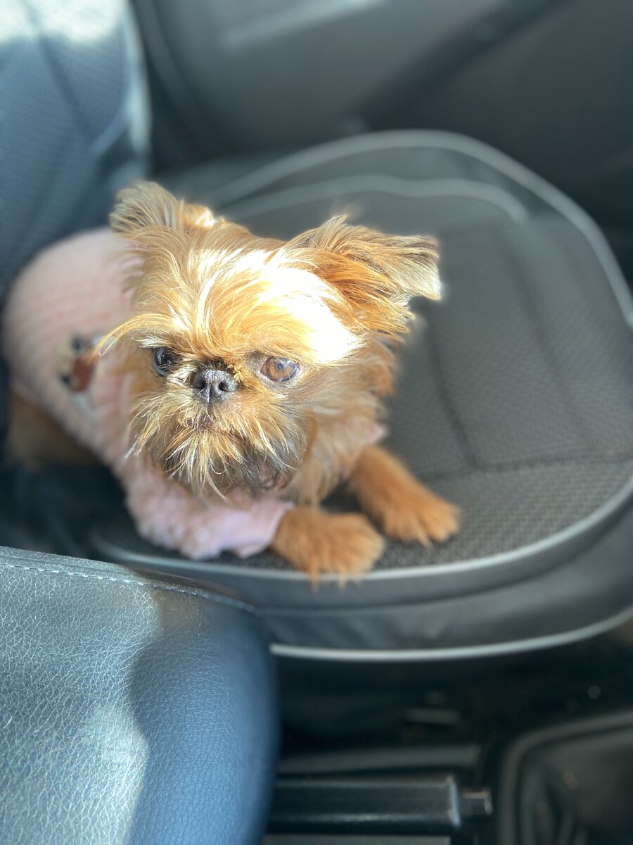 Ева готовится к поездке 