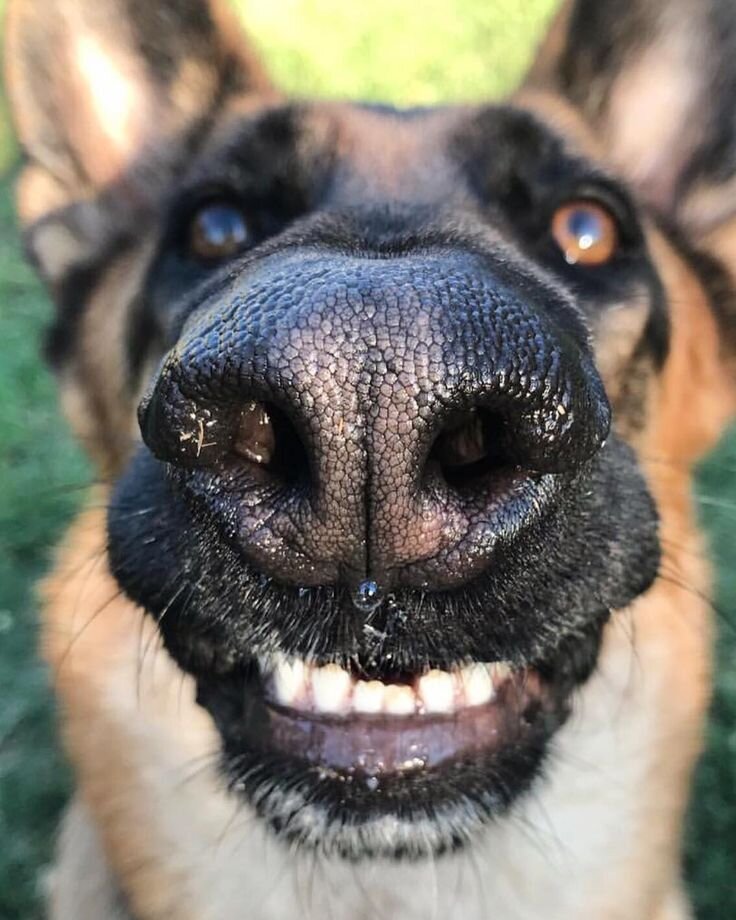 Фото взято из открытых источников Яндекс