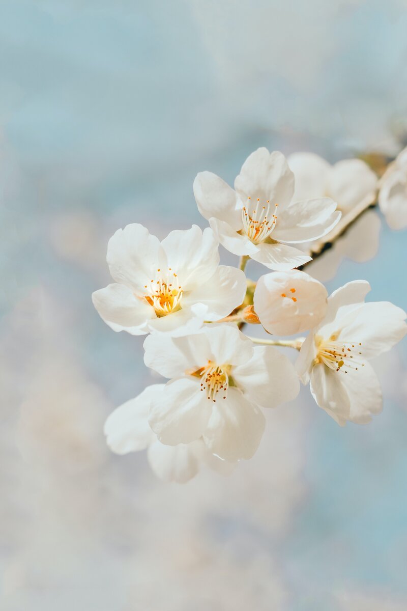 Фото unsplash.com