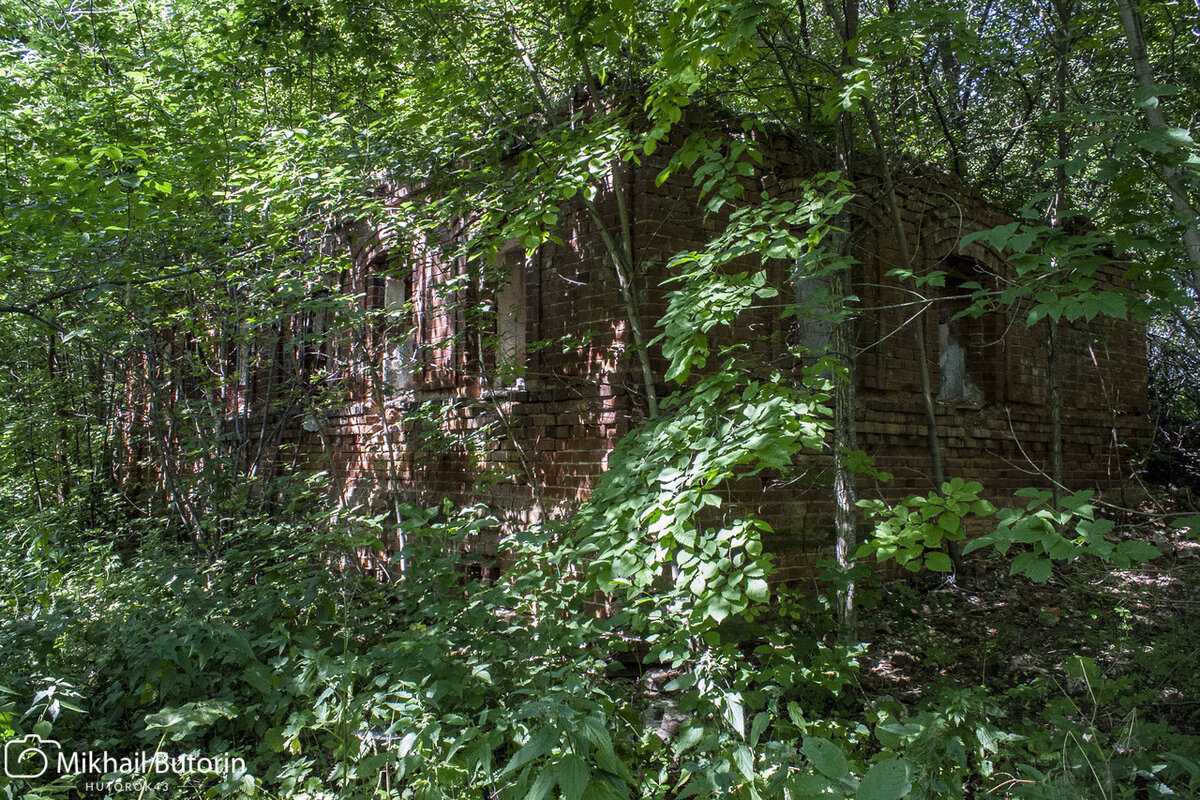 Затерянный в зарослях.