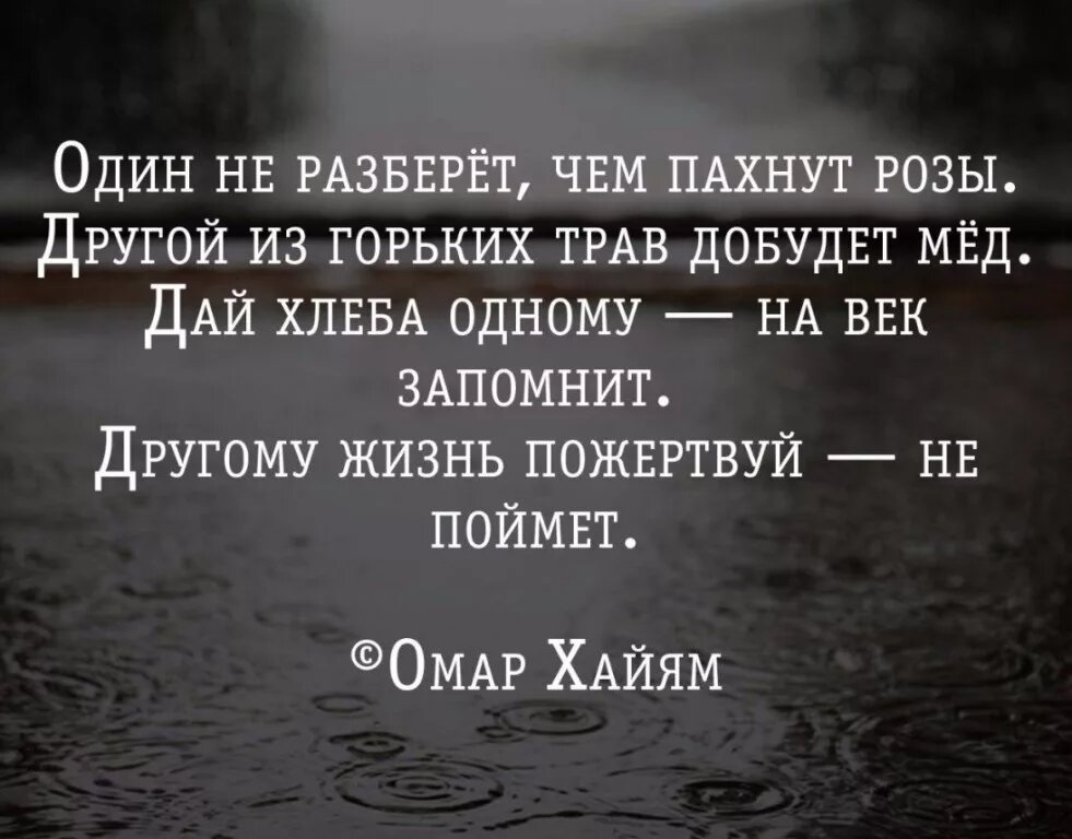 Другому жизнь отдашь а он и не. Другой из горьких трав добудет мед. Омар хайям один не разберет чем пахнут. Один не разбереш чем пахнут оозы. Один не разберет чем.