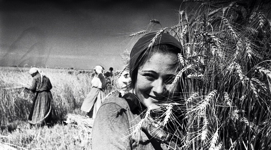 Русские молодые вдовы. Девушка деревенская в послевоенные годы. Женщины в поле в годы войны. Поля в годы войны.