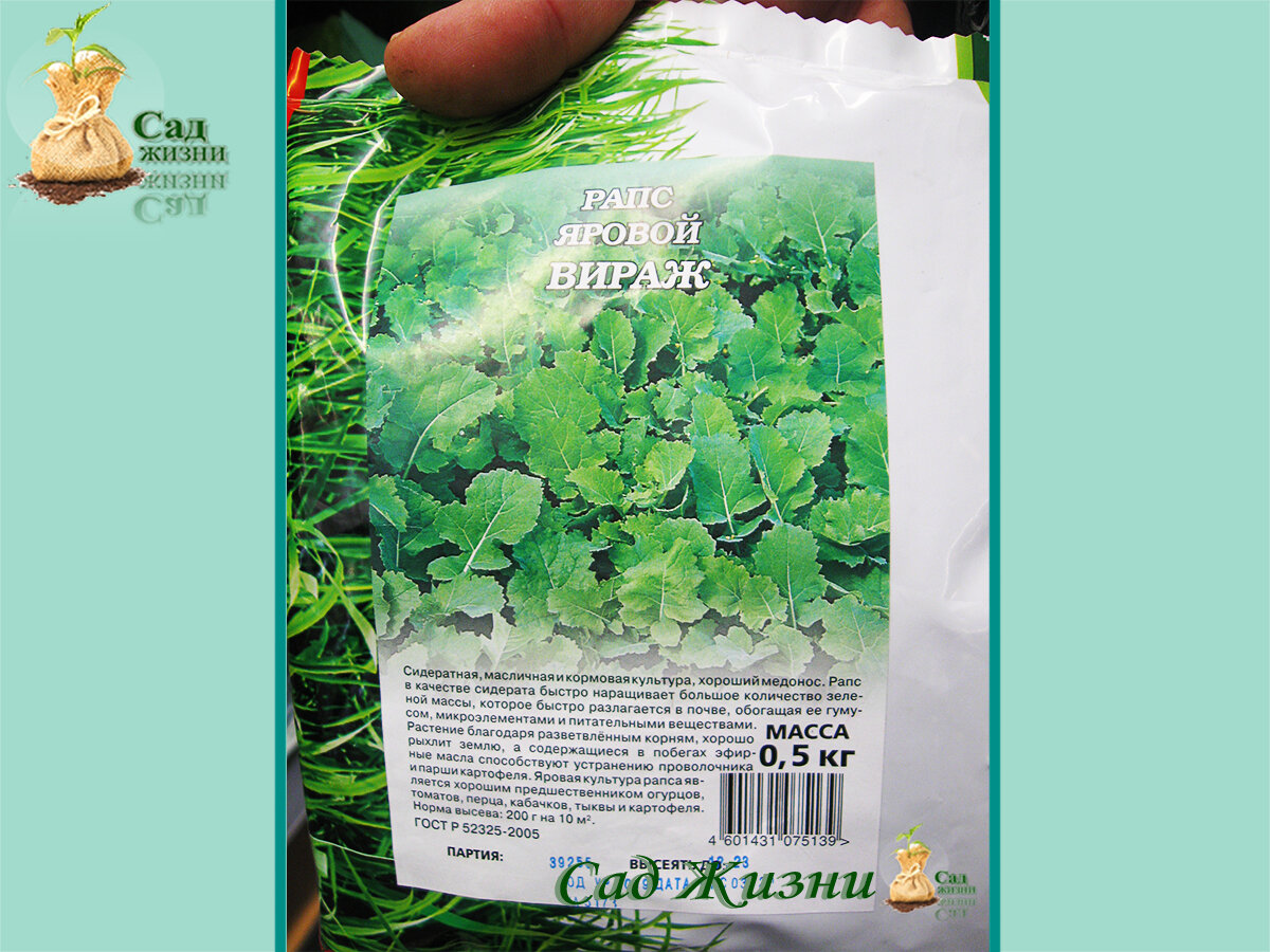 Сидераты весной. 