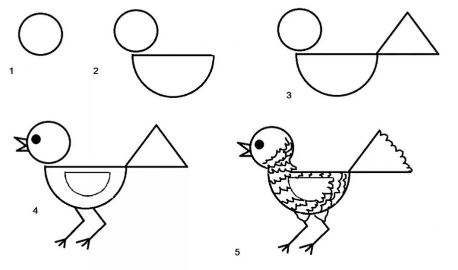 Схемы животных и птиц. Схема рисования птицы в средней группе. Рисунок из геометрических фигур. Птица из геометрических фигур. Рисунки из геометрических фигур для дошкольников.