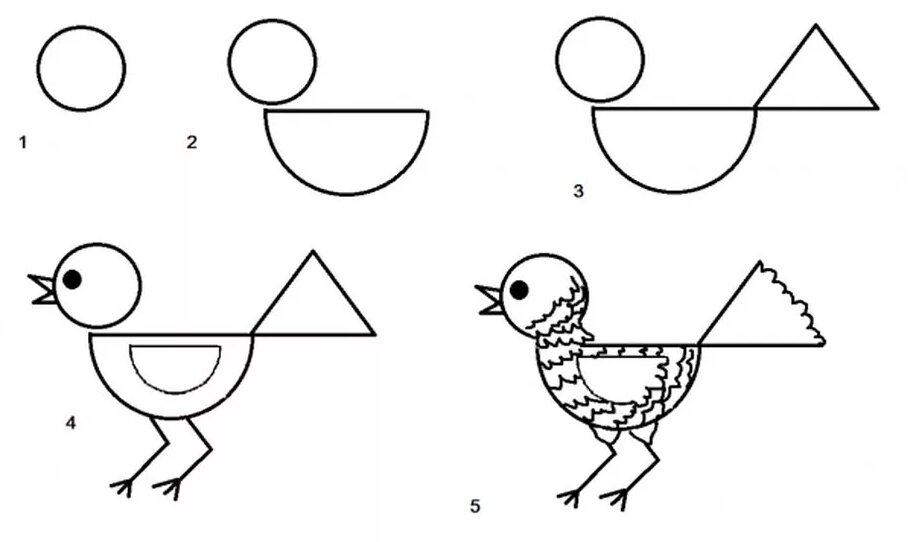 Птица схема для детей