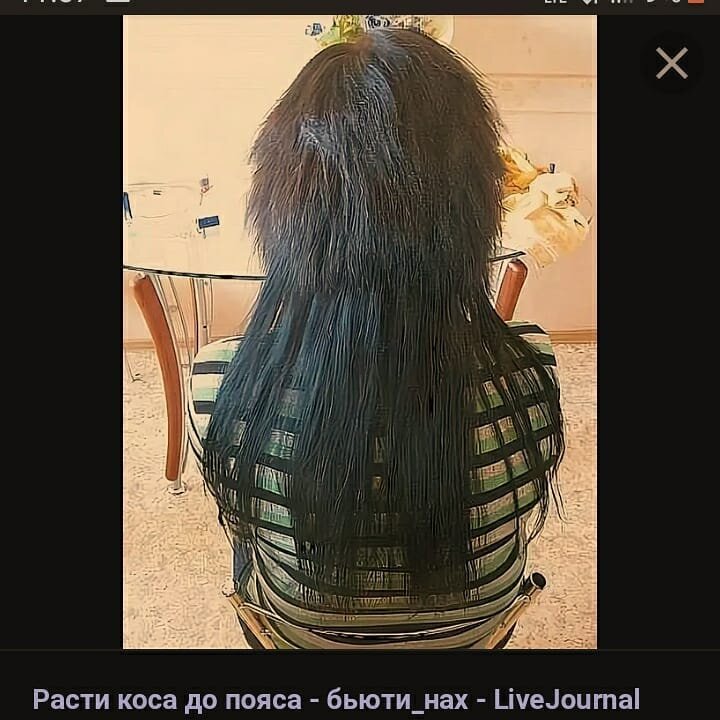фото взято с поисковой сети яндекс