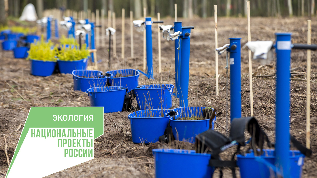 Фото: Главное управление по реализации национальных проектов (региональный проектный офис) 