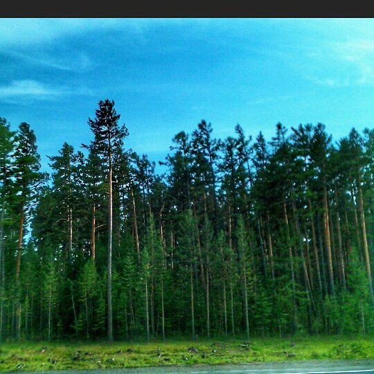 Второй день-ночь Случайности не случайны... (2015 г.)