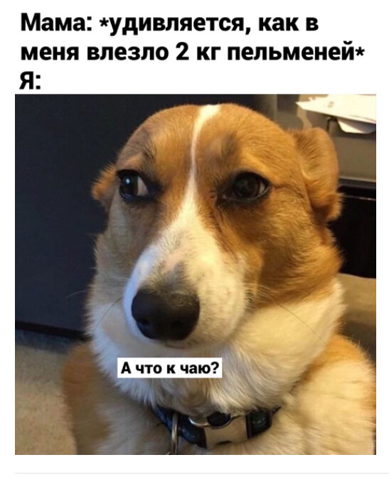 А к чаю торт из пельменей.