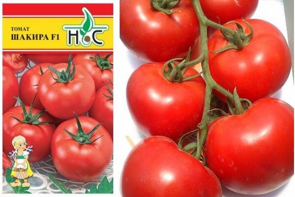 Шакира F1 (фото из открытых источников)