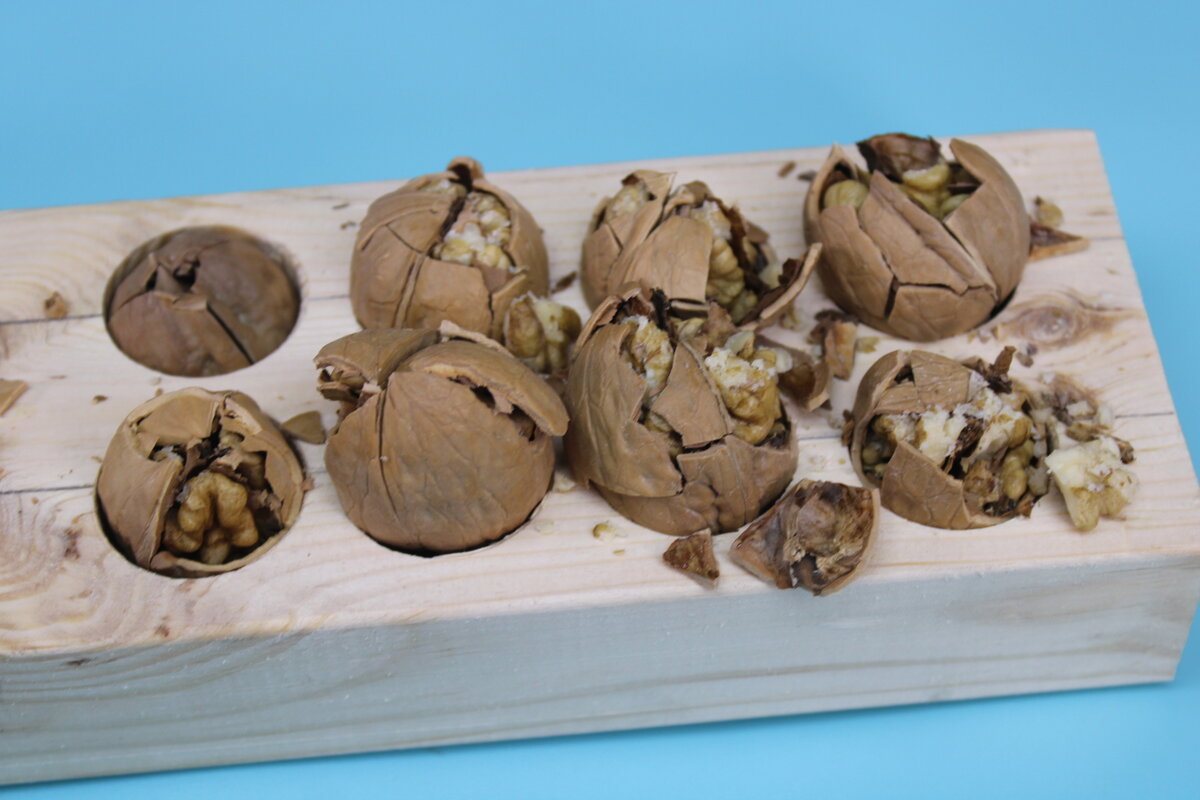 Грецкий орех как чистить от скорлупы. Как легко расколоть грецкий орех. Как расколоть орех. Грецкий орех как чистить от скорлупы. Колоть фундук.