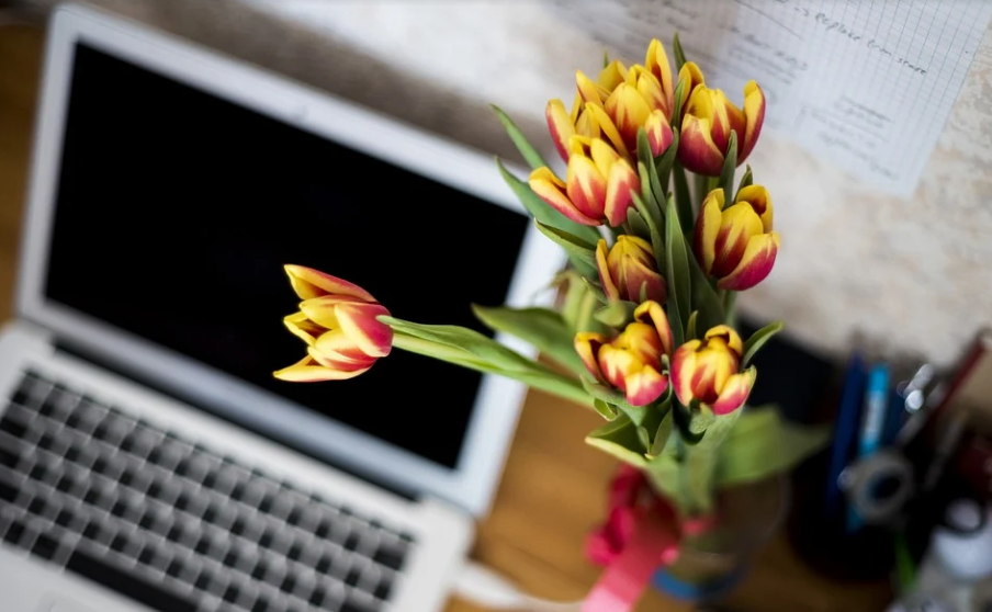 Удаленная работа, работа в интернете, работа на дому