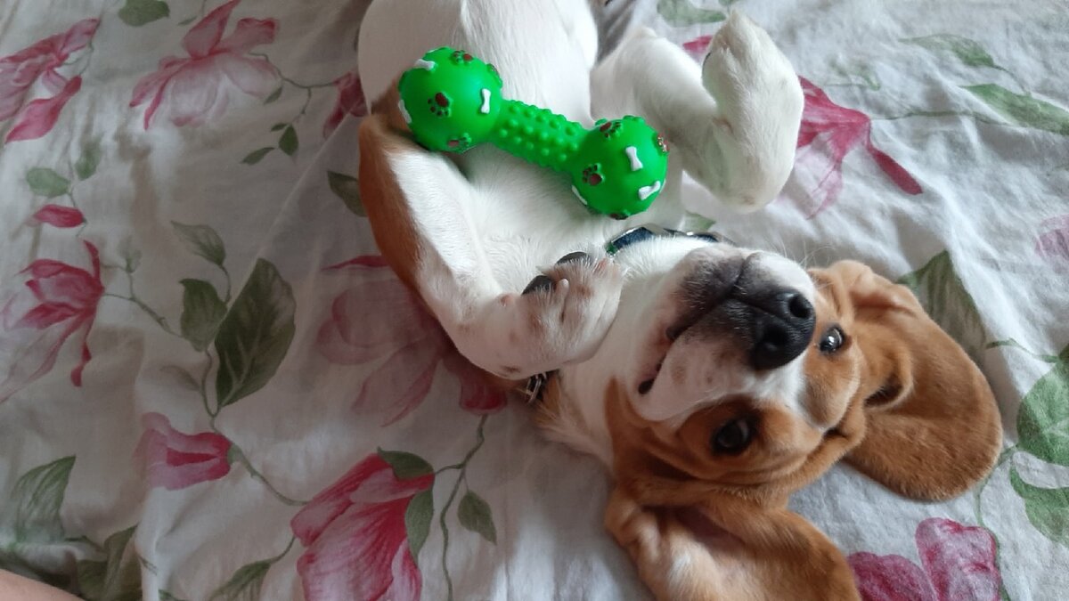 Фото: https://vk.com/club202871281?z=album-202871281_278847223