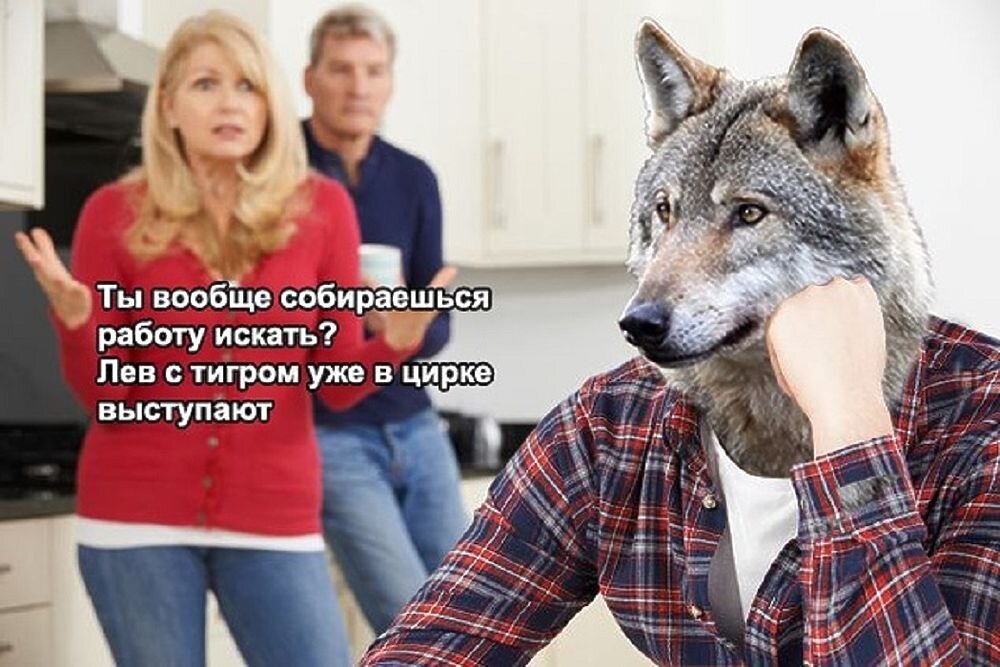 Мем из этих наших интернетов