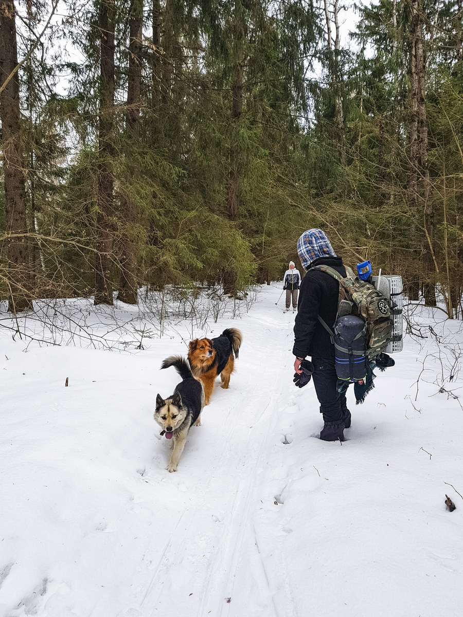 На пути встретили таких пушистиков