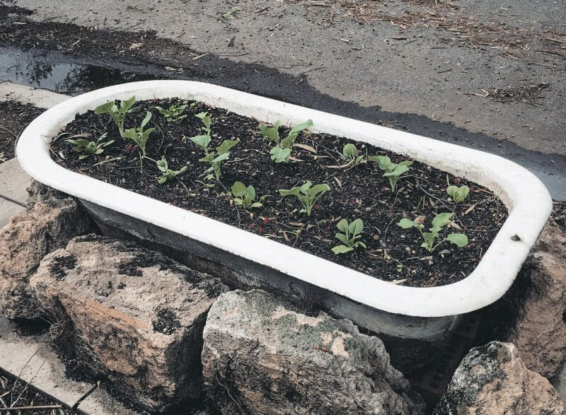 Фото: Instagram @kirstylenai