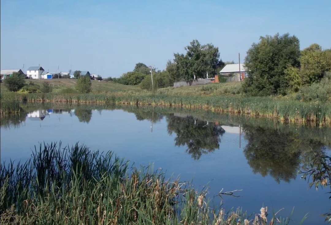 Село лягушкино. Екатериновского района Екатериновка. Екатериновка Екатерининский раон. Малая Екатериновка Саратовская область. Село малая Екатериновка Калининский район Саратовская область.